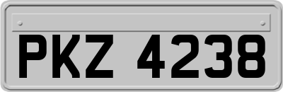 PKZ4238
