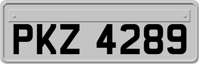 PKZ4289