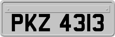 PKZ4313