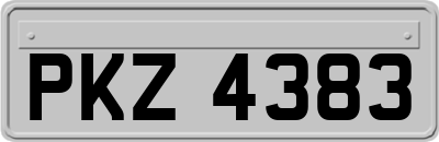PKZ4383