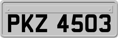 PKZ4503