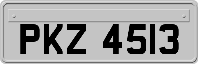 PKZ4513