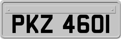 PKZ4601