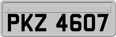 PKZ4607