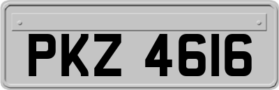 PKZ4616