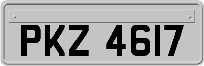PKZ4617