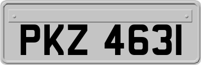 PKZ4631