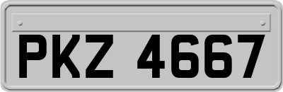 PKZ4667