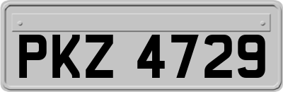 PKZ4729