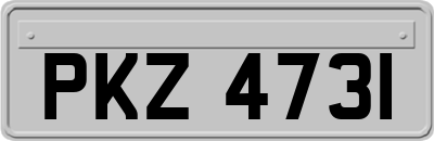 PKZ4731