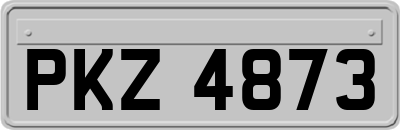 PKZ4873