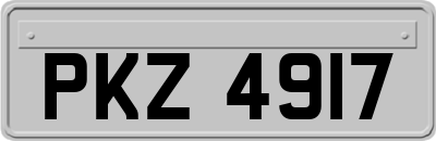 PKZ4917