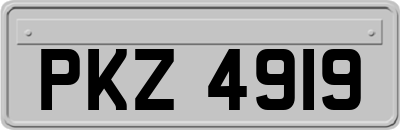 PKZ4919