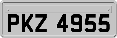 PKZ4955