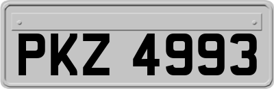 PKZ4993