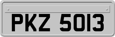 PKZ5013