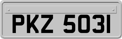 PKZ5031