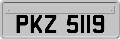 PKZ5119