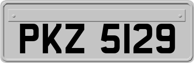PKZ5129