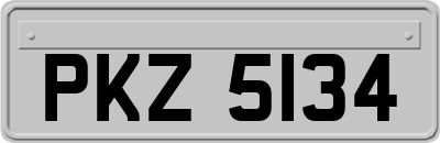 PKZ5134