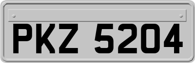 PKZ5204