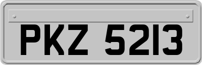 PKZ5213