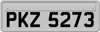PKZ5273