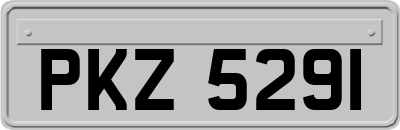 PKZ5291