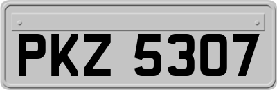 PKZ5307