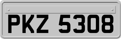 PKZ5308