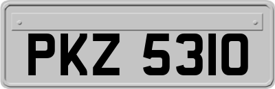 PKZ5310