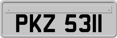 PKZ5311
