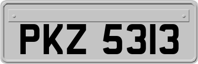 PKZ5313