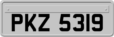 PKZ5319