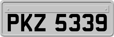 PKZ5339