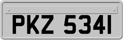 PKZ5341