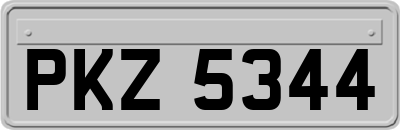 PKZ5344