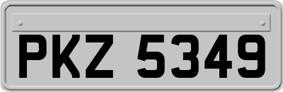 PKZ5349