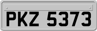 PKZ5373