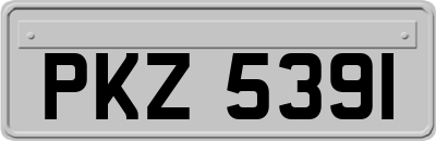 PKZ5391