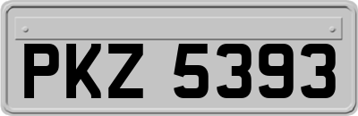 PKZ5393