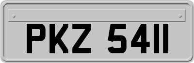 PKZ5411
