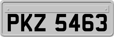 PKZ5463