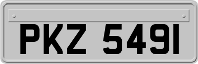 PKZ5491