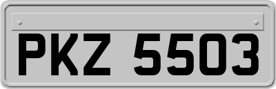 PKZ5503