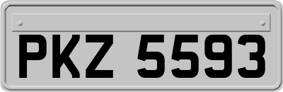 PKZ5593