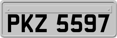PKZ5597