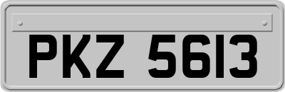 PKZ5613