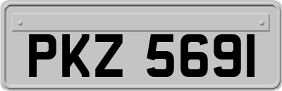 PKZ5691