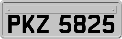 PKZ5825